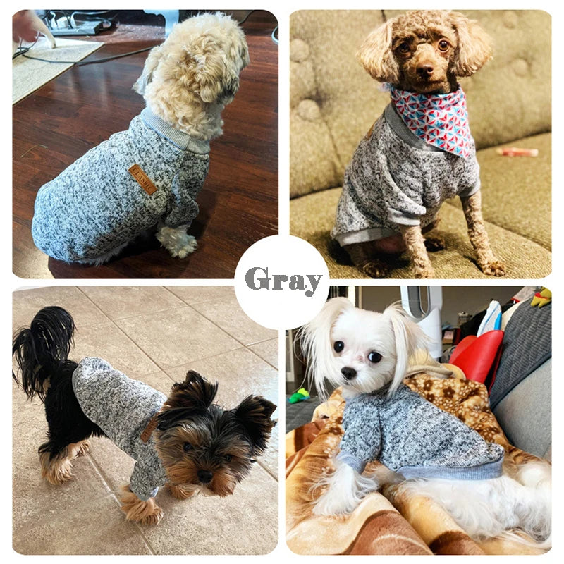 Chaqueta para cachorros y gatos, ropa cálida de invierno para perros pequeños, abrigo para Chihuahua, ropa Schnauzer Pug, sudaderas, disfraces informales para mascotas