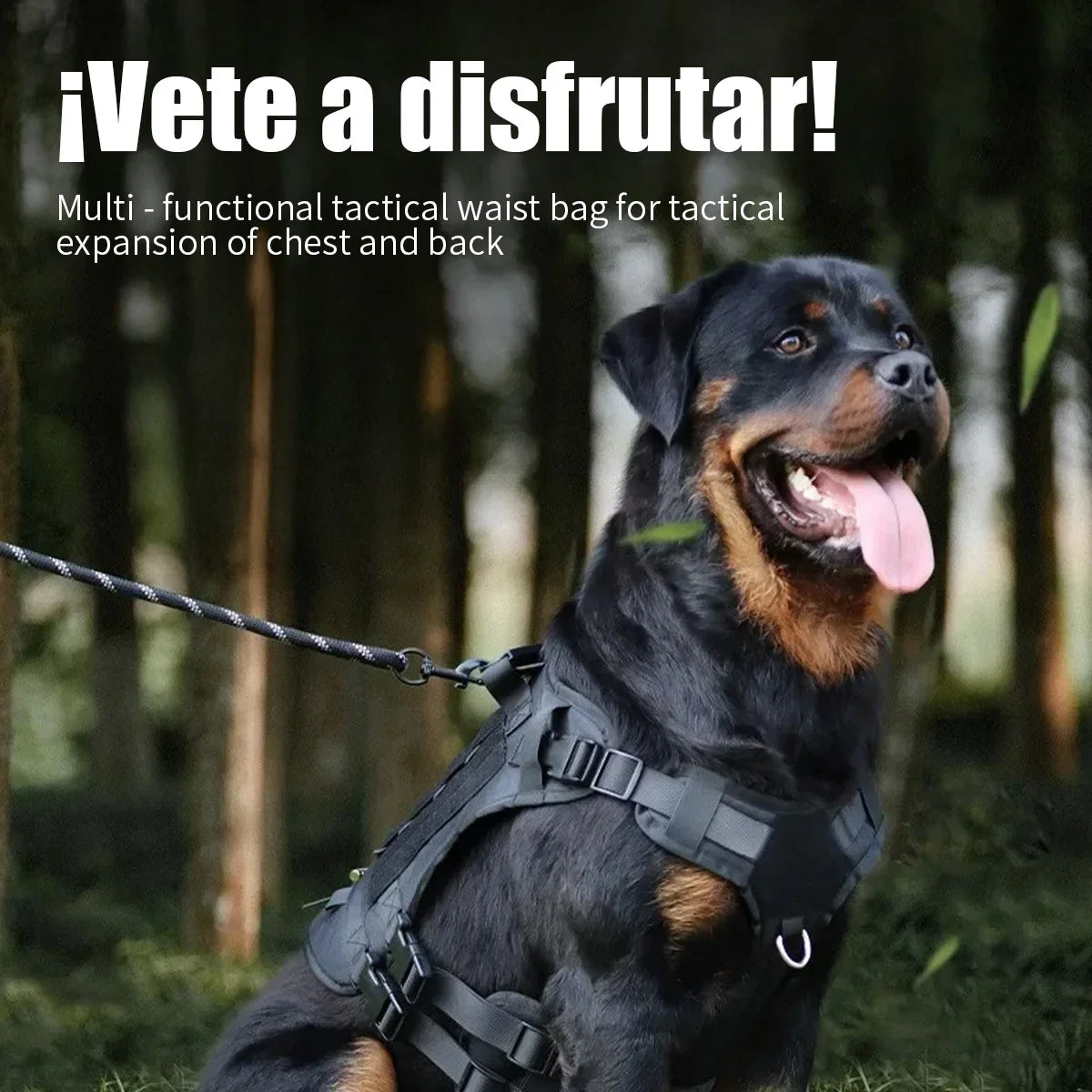 Collares para perros Arnés Chalecos grandes Correa para mascotas Arnés de seguridad para perros grandes, chaleco de entrenamiento para mascotas de Bulldog Francés, Pastor Alemán y Perro Malinois, accesorios para perros