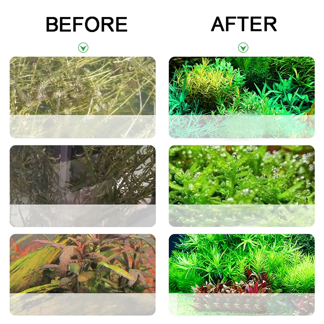 Kit de sistema generador de CO2 para acuario, cilindro generador de CO2 de acero inoxidable, Kit de Reactor de dióxido de carbono para plantas y peces